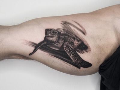 turtle tattoo (1)