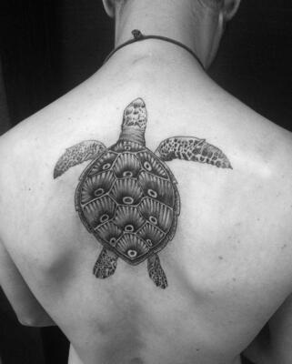 turtle tattoo (4)