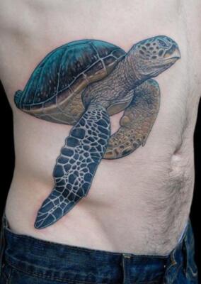 turtle tattoo (5)