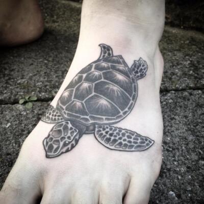 turtle tattoo (6)