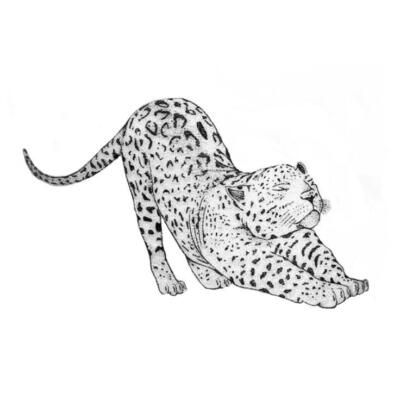 leopard tattoo (5)