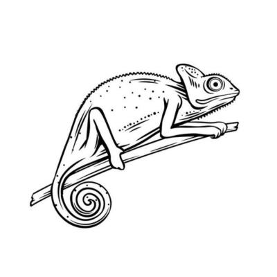 Chameleon outline icon